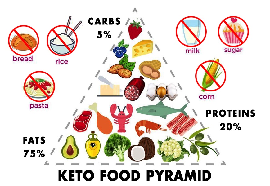 An Introduction To Keto Farms - The World’s Cleanest Diet. 