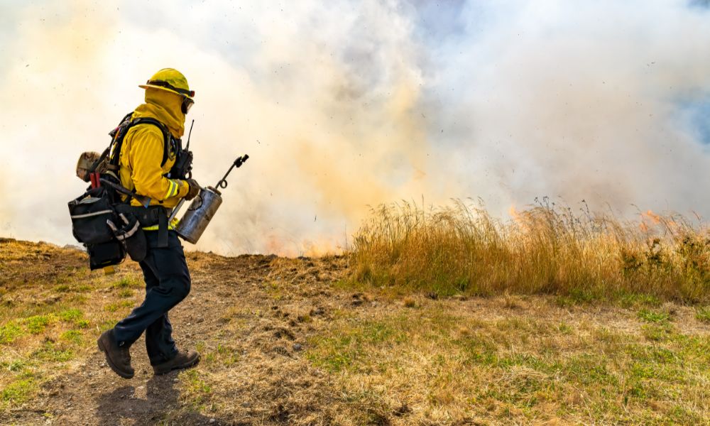 Why You Should Consider a Career as a Wildland Firefighter